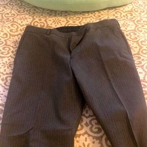 Express dress pants